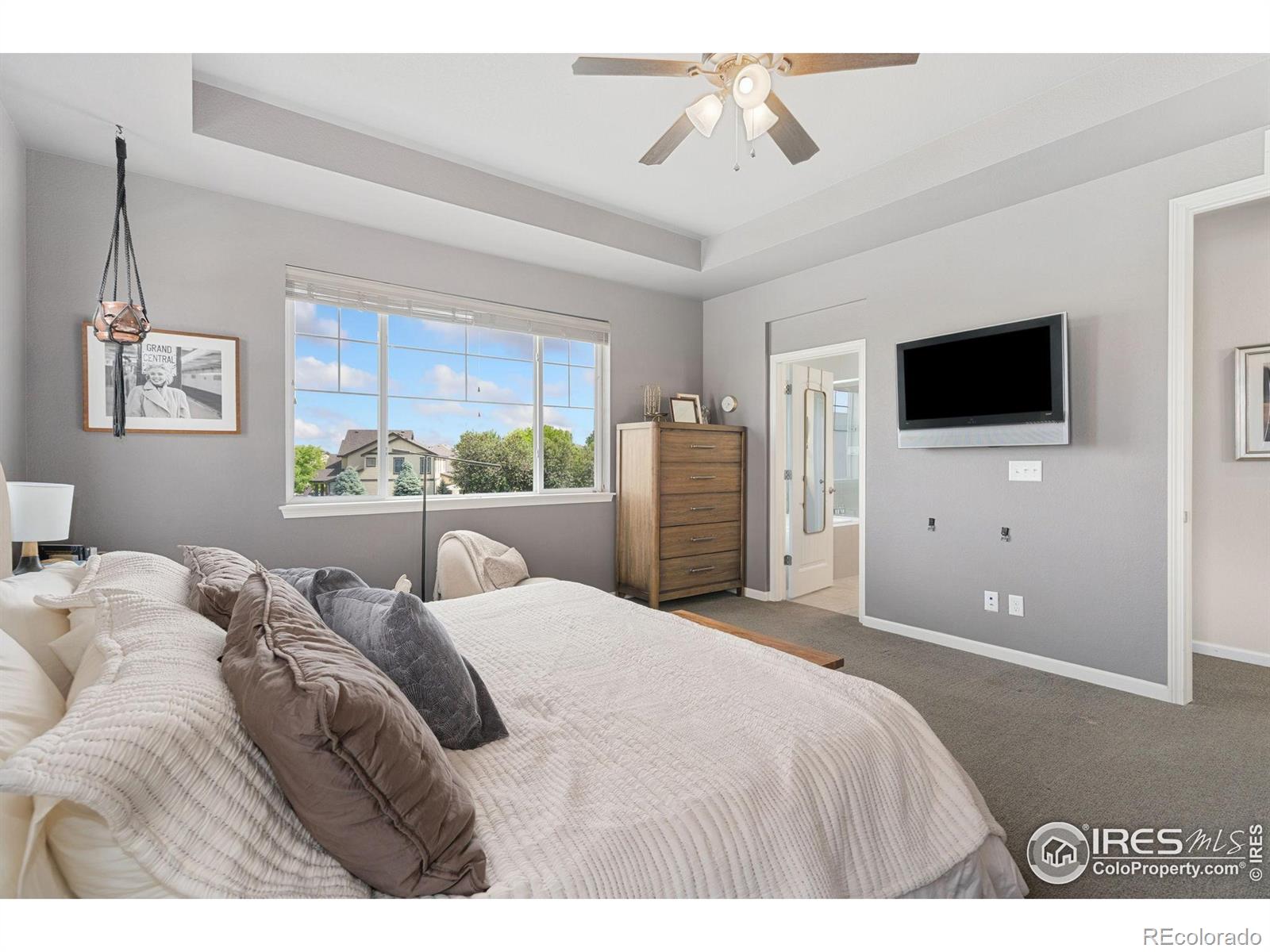 MLS Image #19 for 8199  white owl court,windsor, Colorado