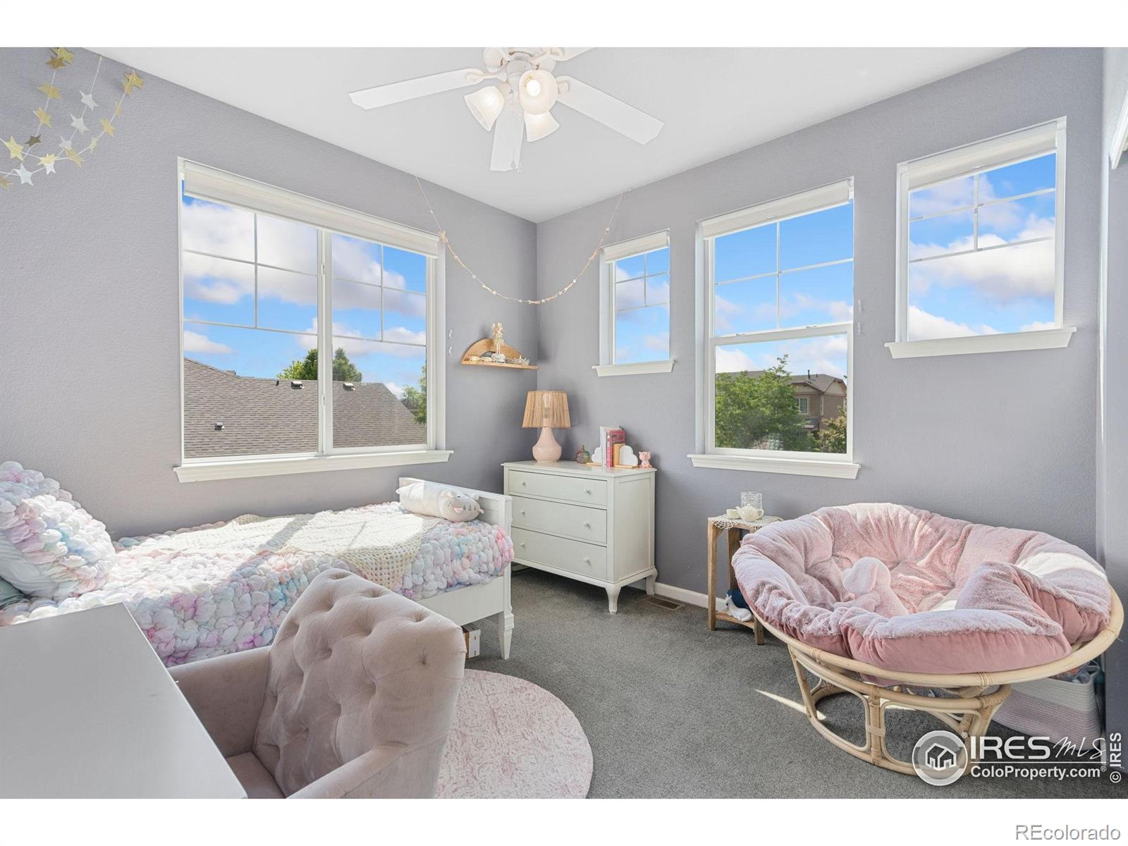 MLS Image #22 for 8199  white owl court,windsor, Colorado