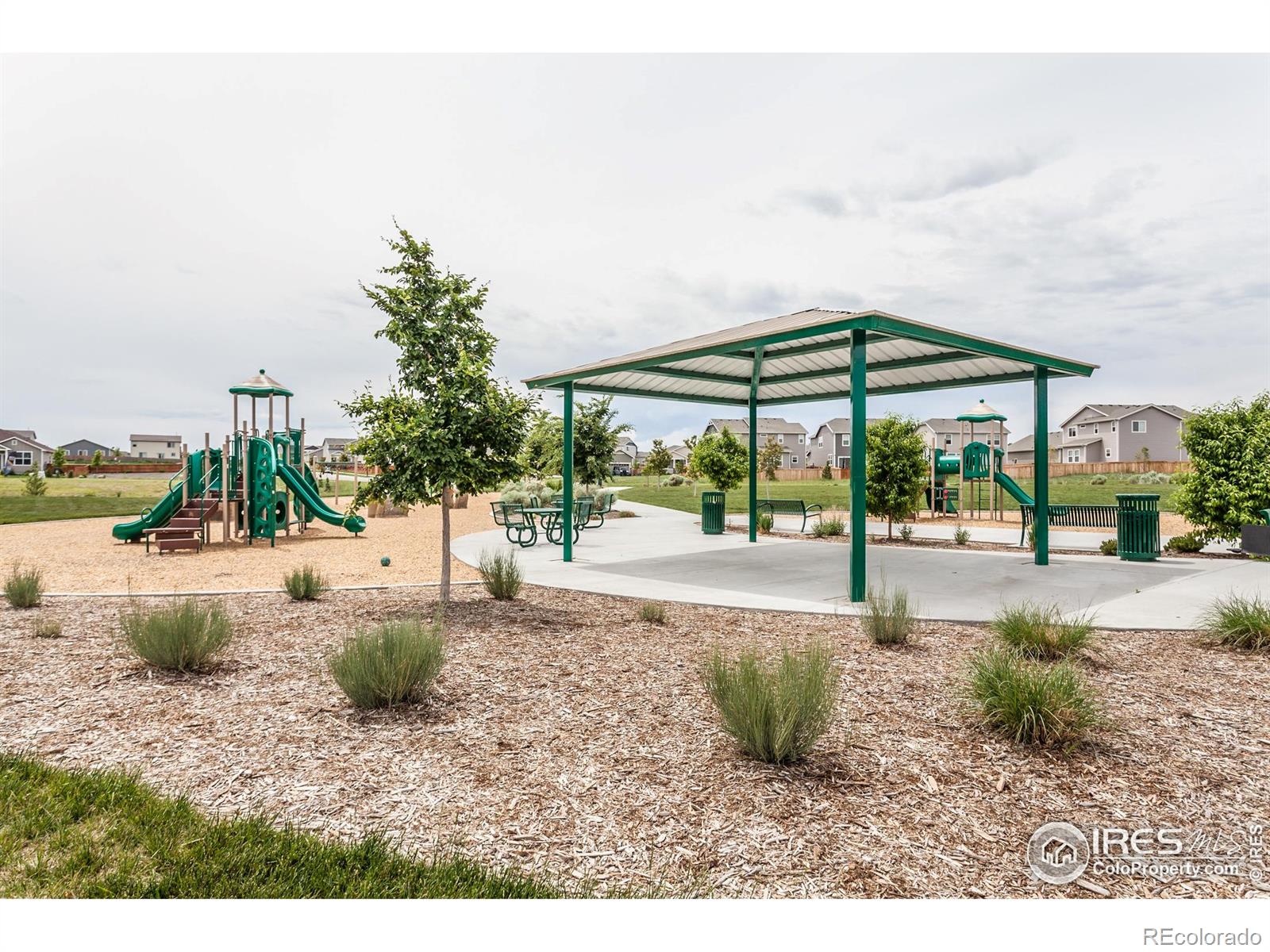 MLS Image #39 for 1031  odessa lake road,severance, Colorado