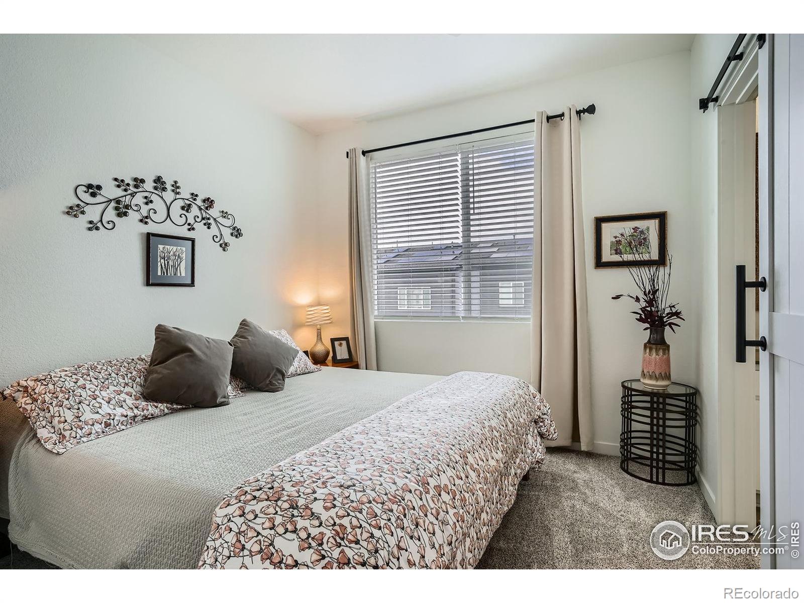 MLS Image #19 for 14553 w 91st drive,arvada, Colorado