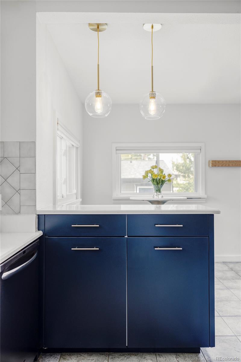 MLS Image #12 for 4421  raleigh street,denver, Colorado