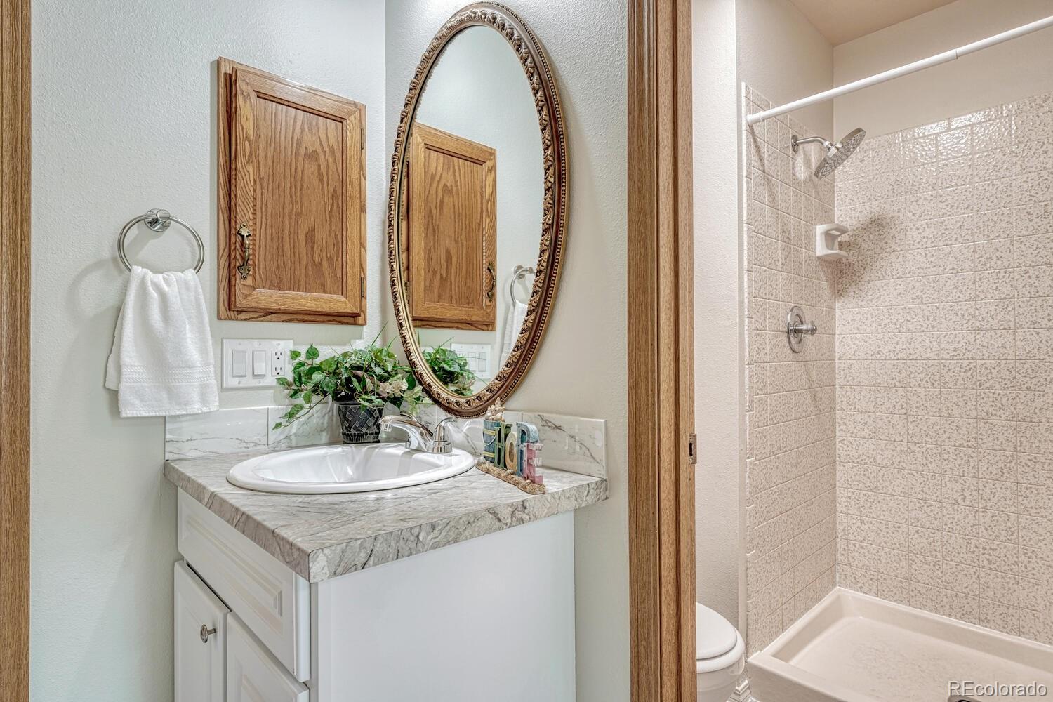 MLS Image #28 for 3548  queen anne way,colorado springs, Colorado
