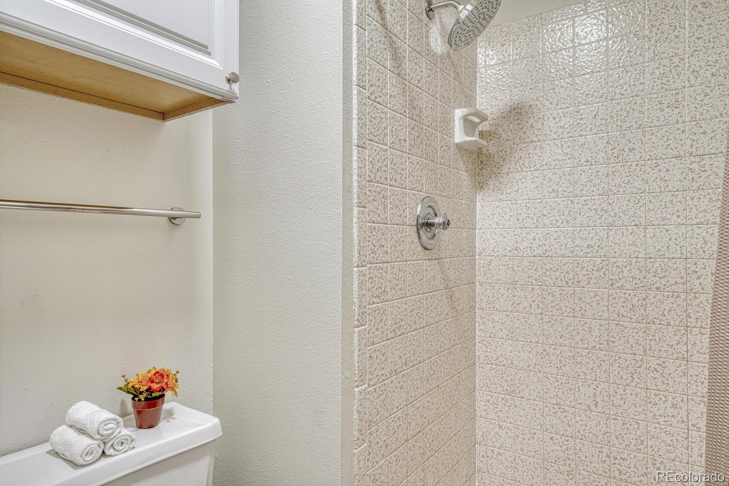 MLS Image #29 for 3548  queen anne way,colorado springs, Colorado