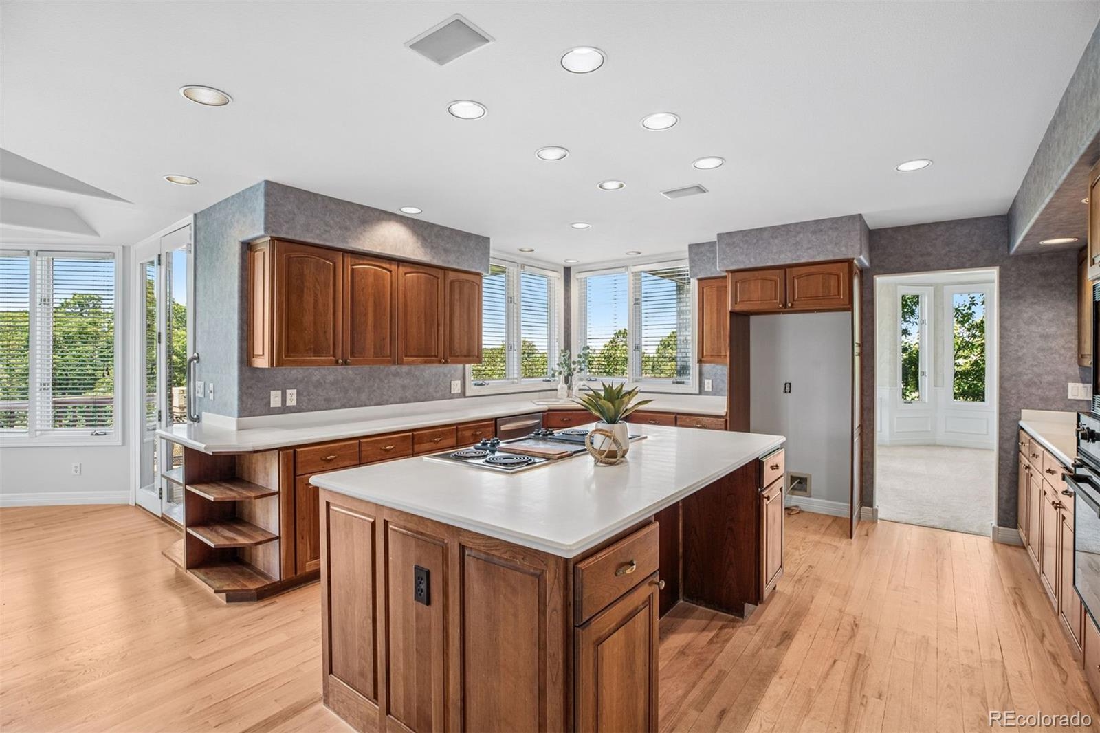MLS Image #19 for 96  falcon hills drive,highlands ranch, Colorado