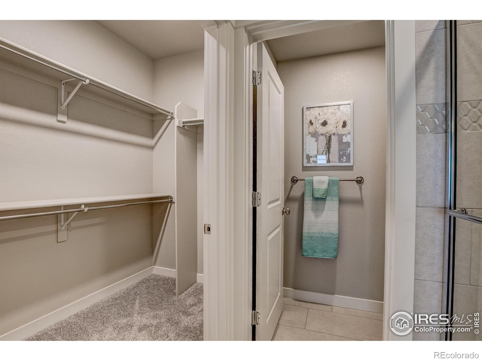 MLS Image #21 for 4144  south park drive,loveland, Colorado