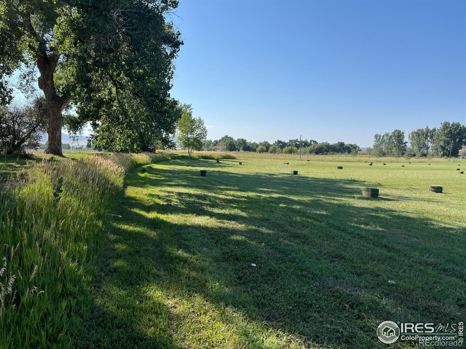 MLS Image #3 for 10401  riata road,fort collins, Colorado