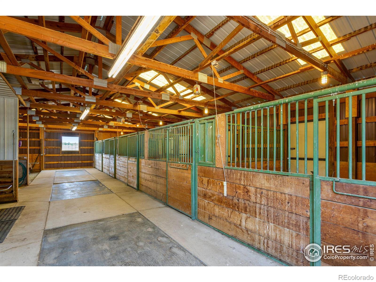 MLS Image #7 for 10401  riata road,fort collins, Colorado