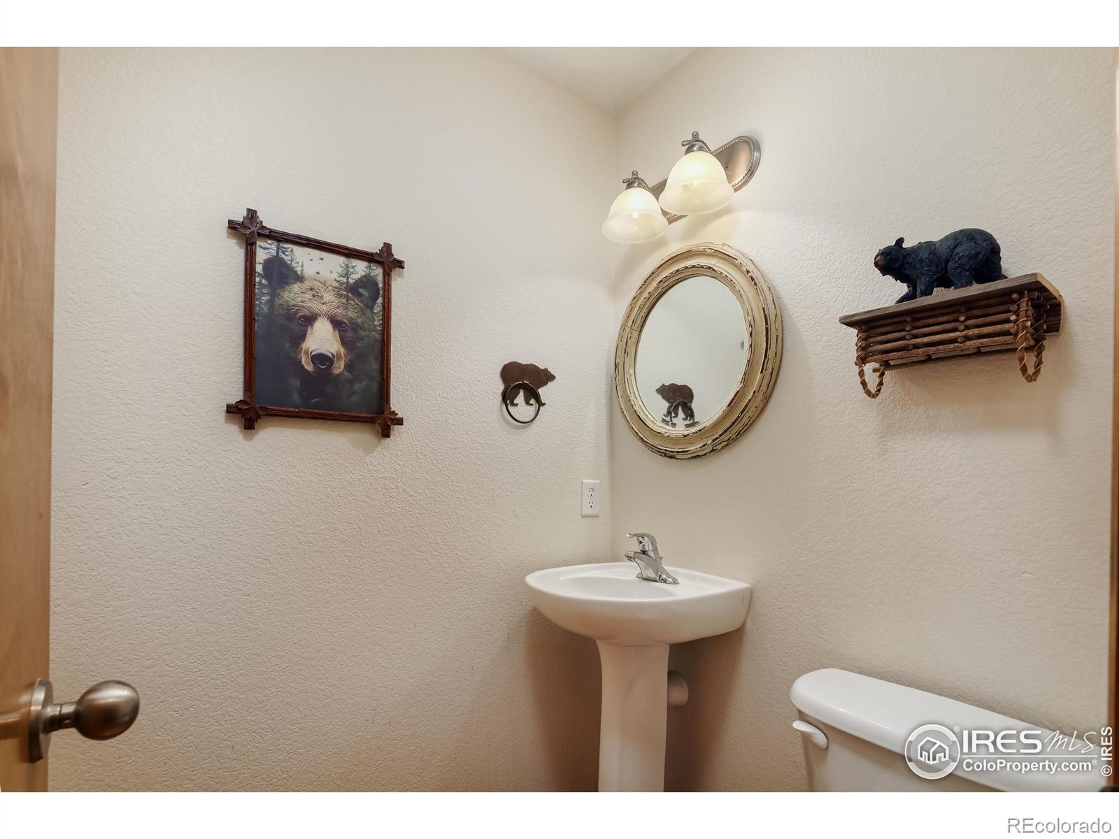 MLS Image #19 for 5603  pierson mountain avenue,longmont, Colorado