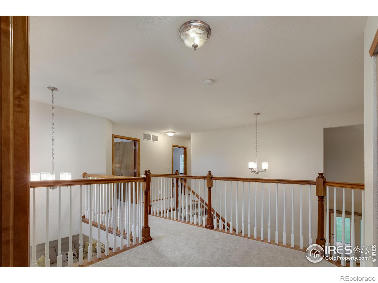 MLS Image #20 for 5603  pierson mountain avenue,longmont, Colorado