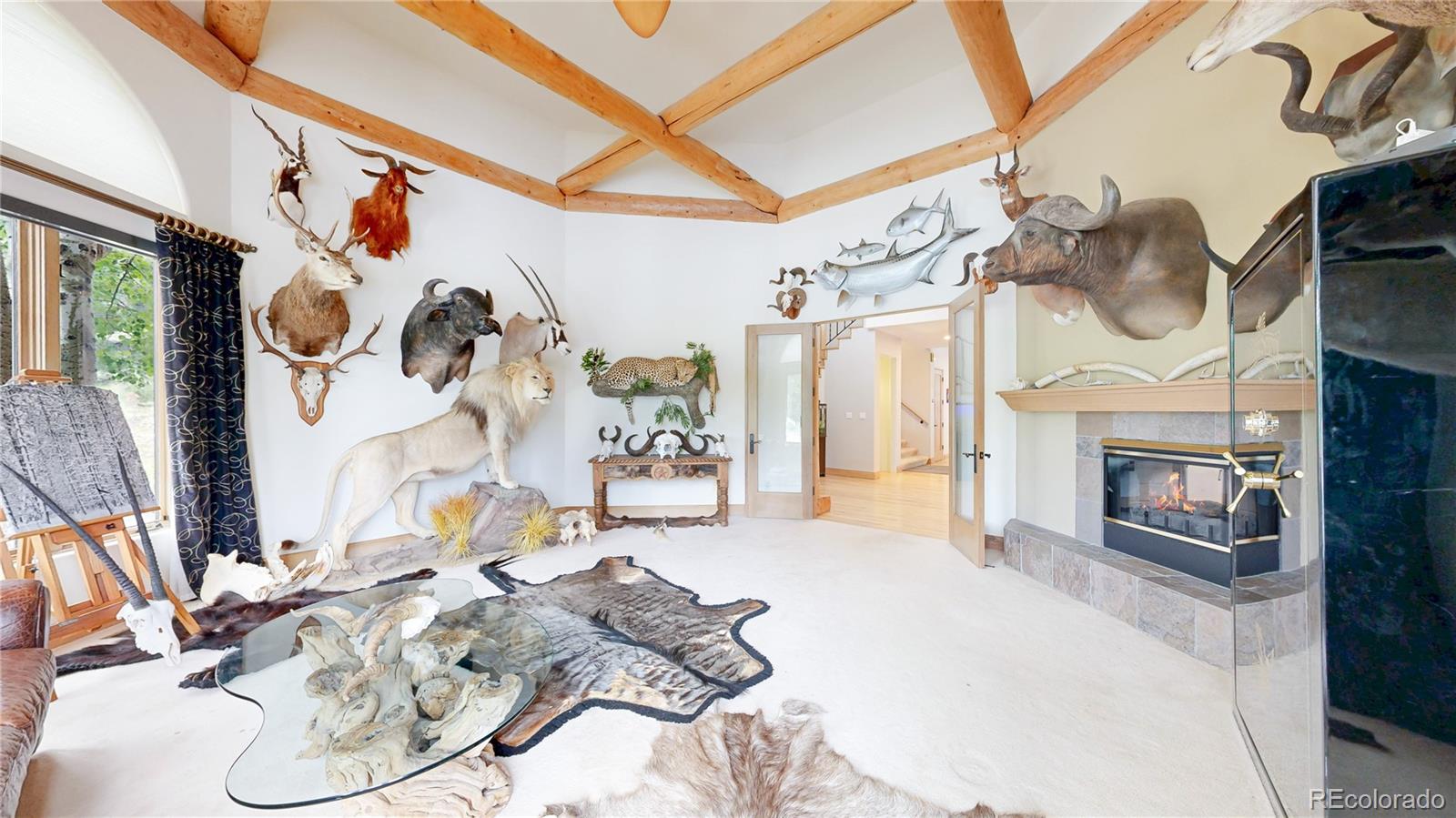 MLS Image #6 for 974  spring ranch drive,golden, Colorado