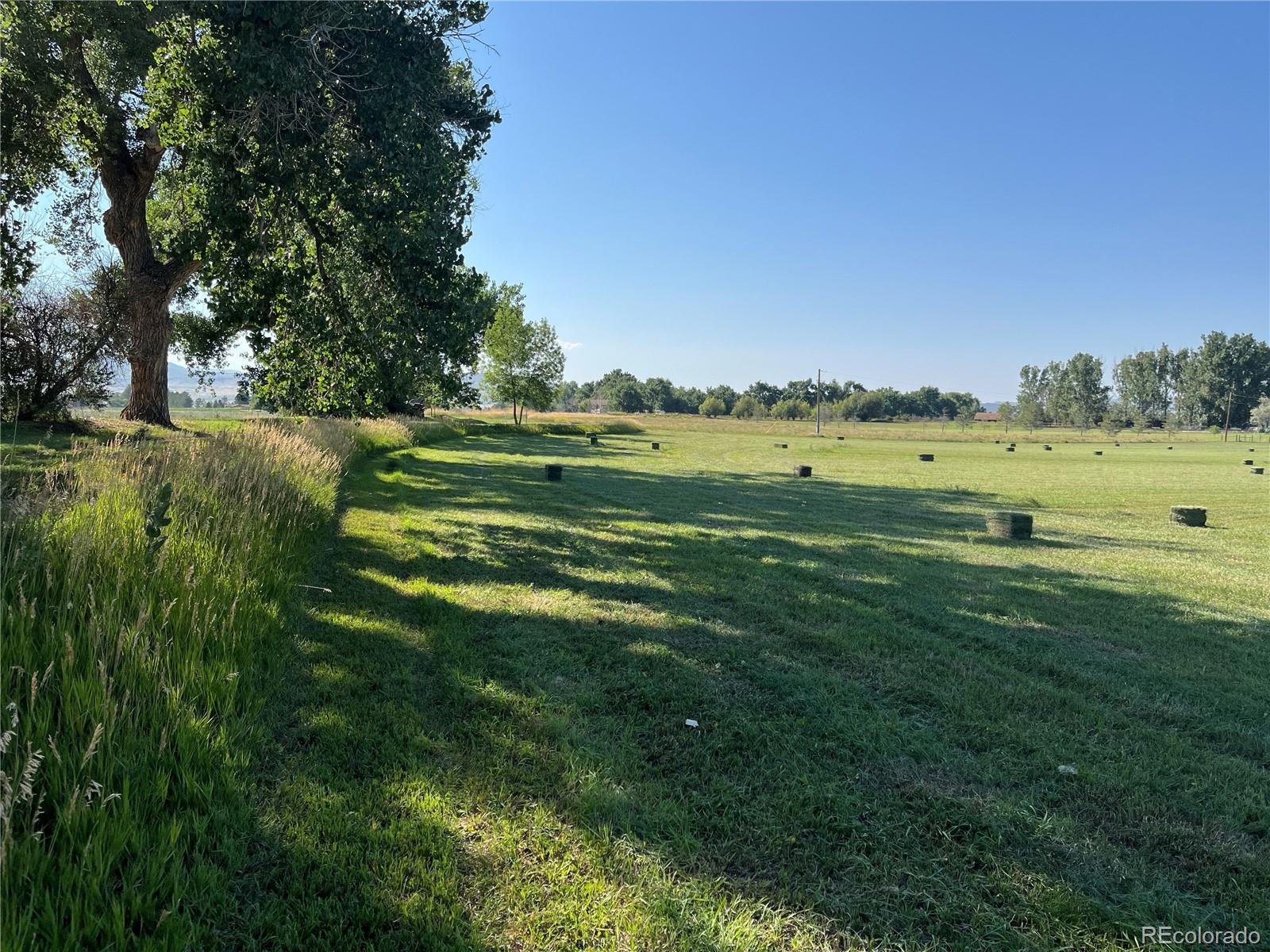 MLS Image #3 for 10401  riata road,fort collins, Colorado
