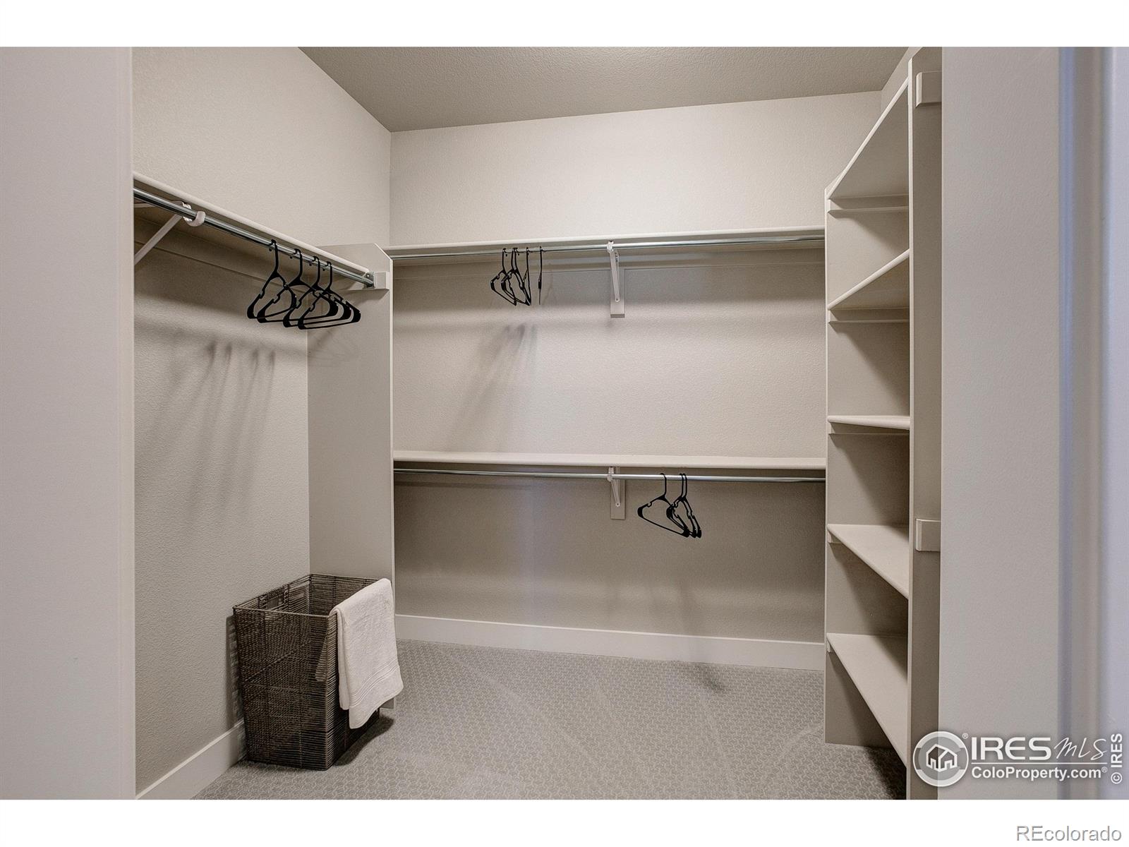 MLS Image #18 for 218  high point drive,longmont, Colorado