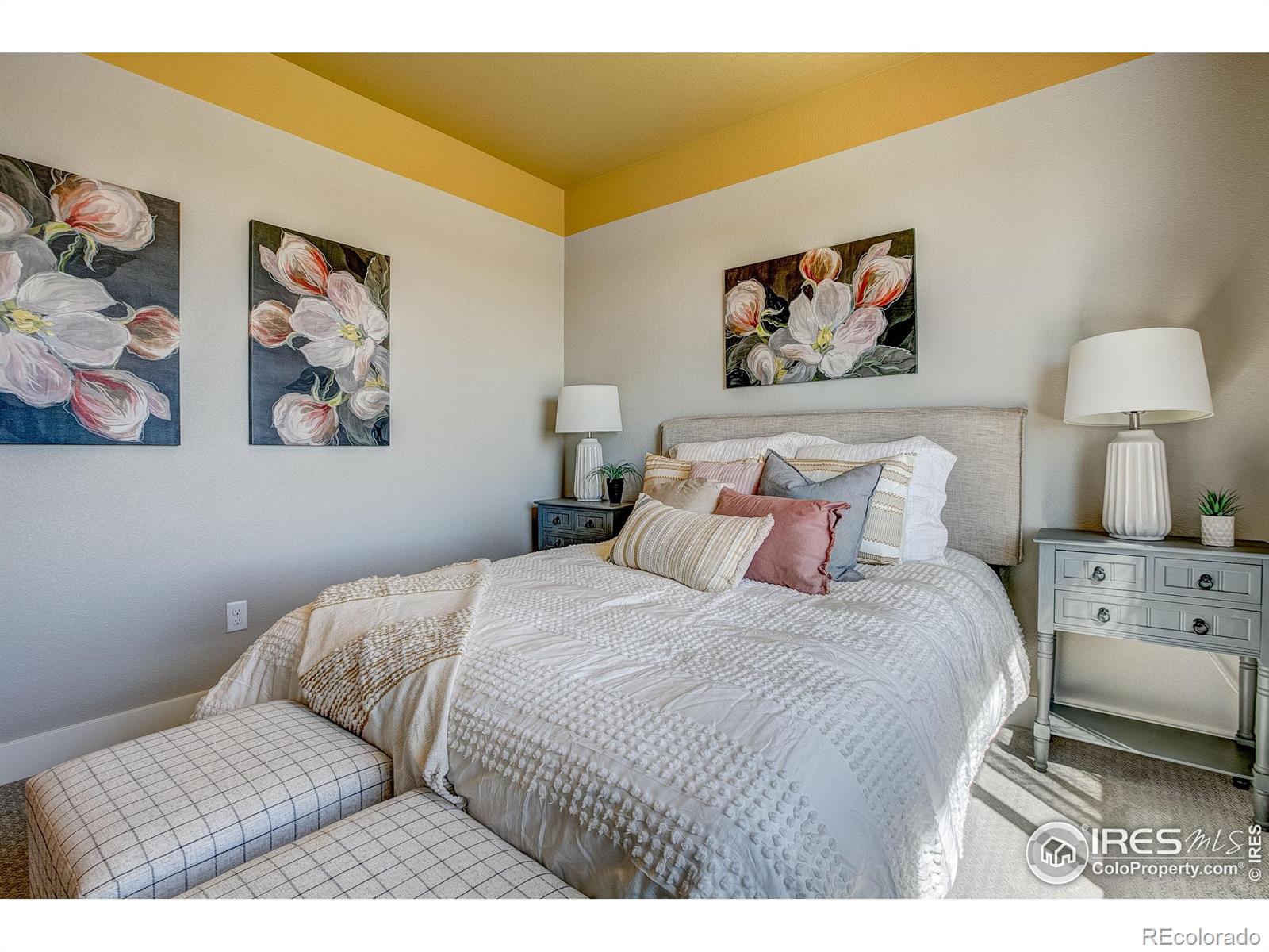 MLS Image #22 for 218  high point drive,longmont, Colorado