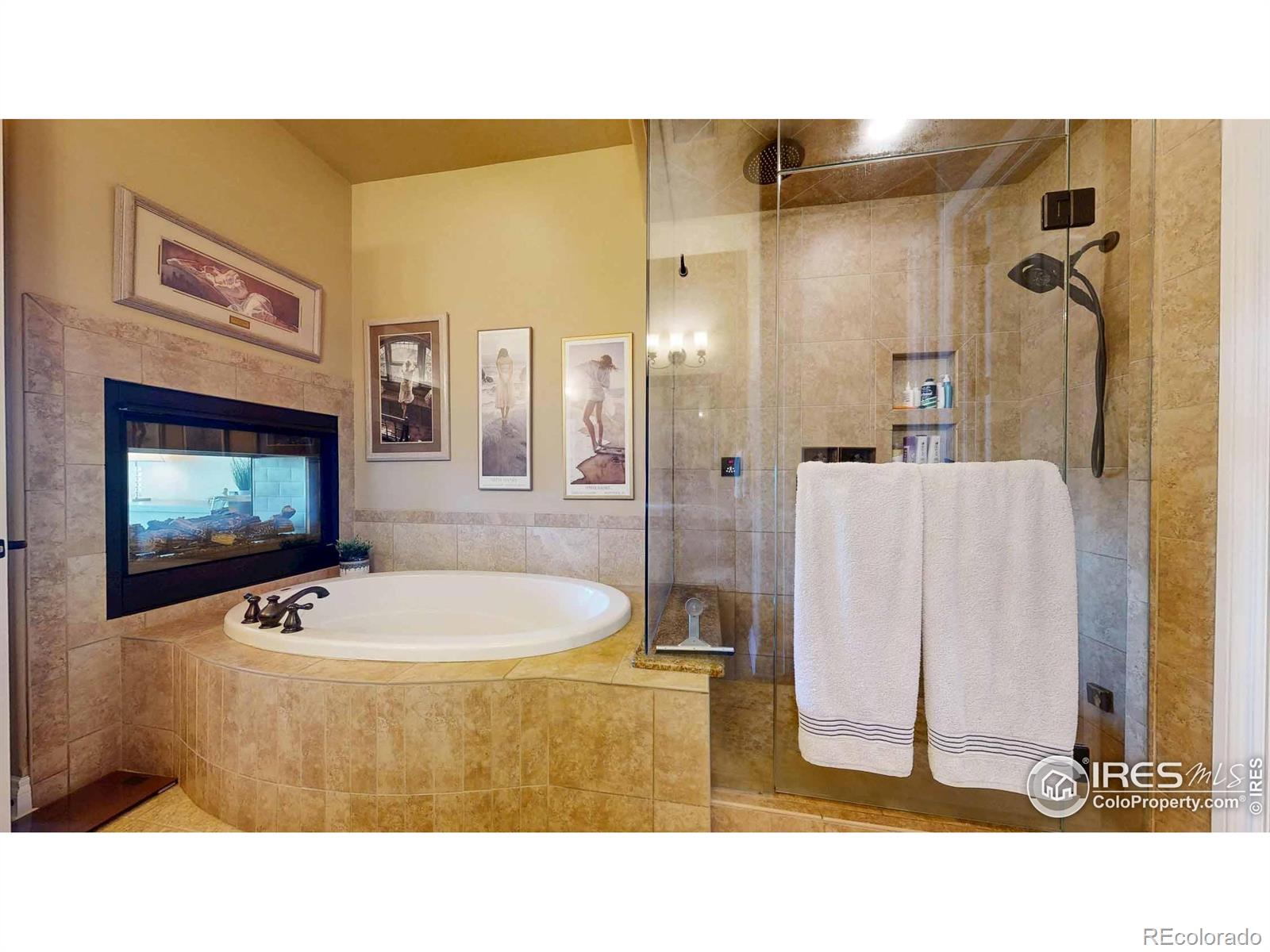 MLS Image #13 for 672  split rock drive,loveland, Colorado