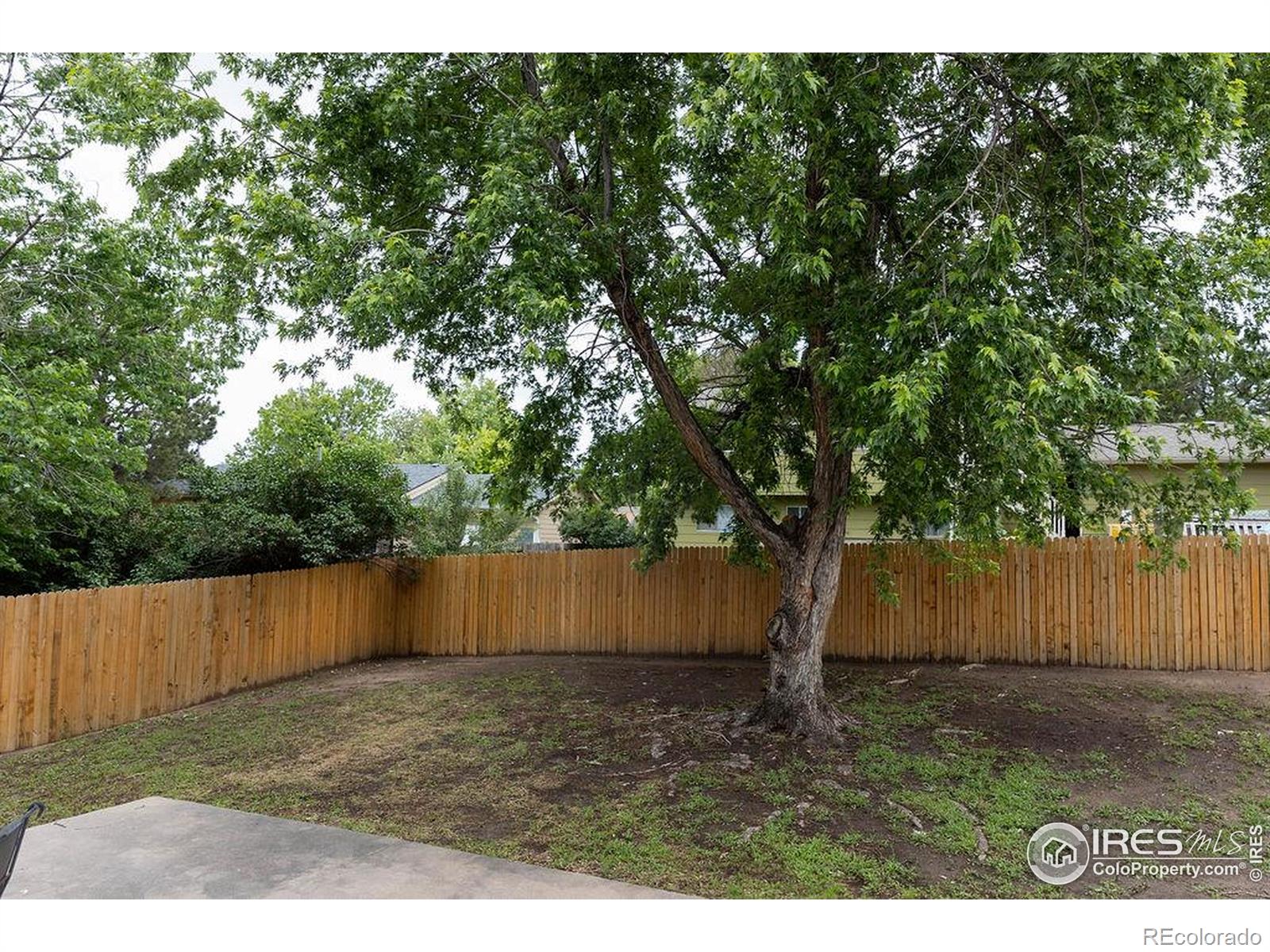 MLS Image #4 for 15532 e pacific place,aurora, Colorado