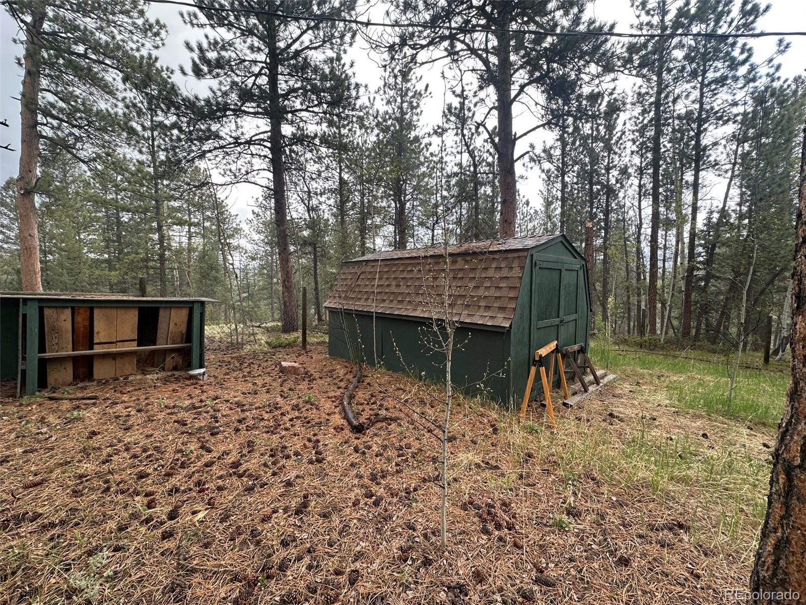 MLS Image #4 for 33691  nova road,pine, Colorado