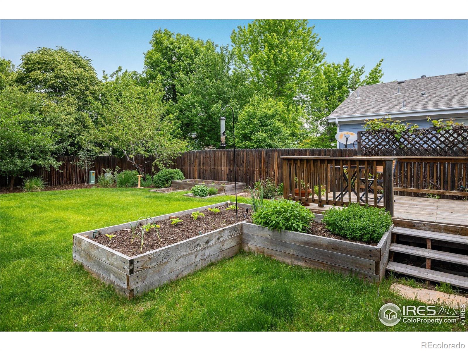MLS Image #27 for 1672  maccullen drive,erie, Colorado