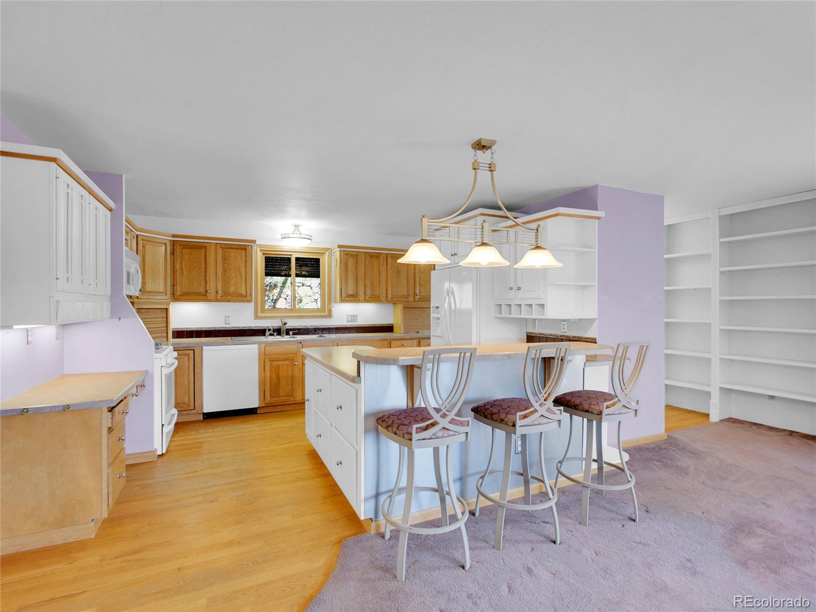 MLS Image #10 for 5336  high road,evergreen, Colorado
