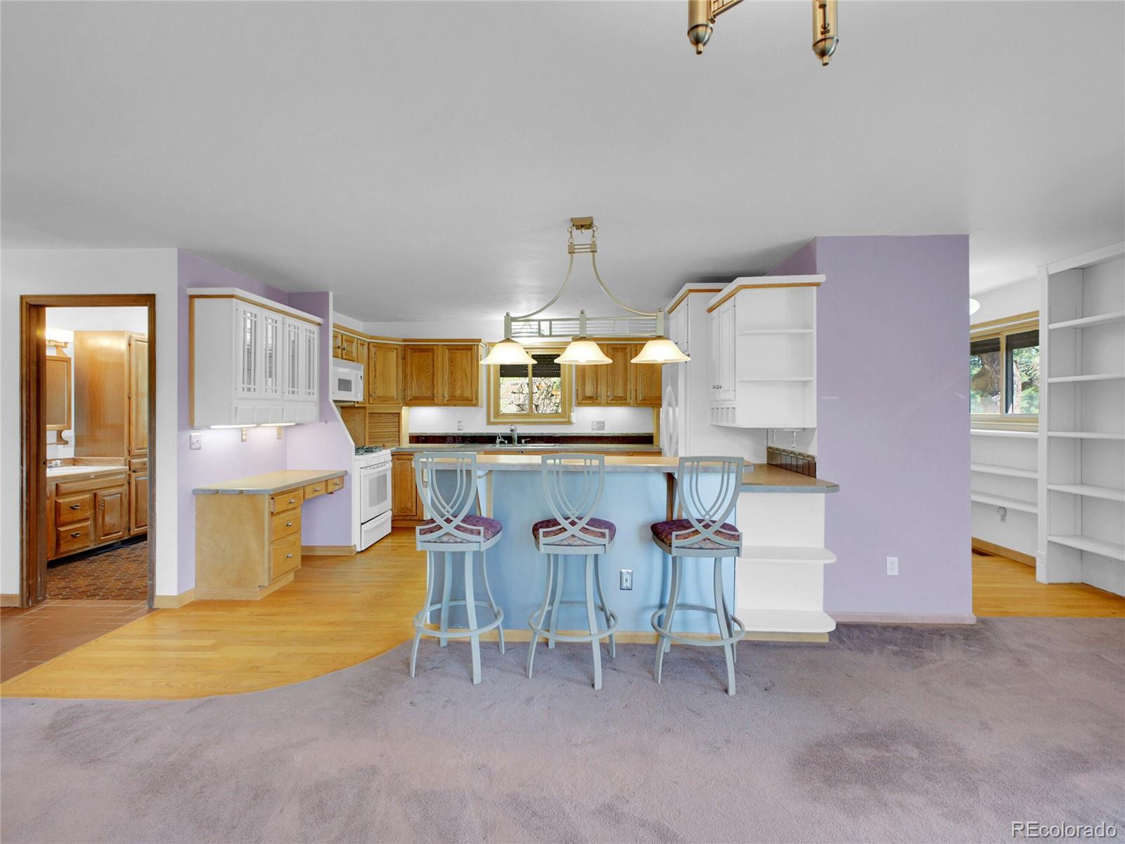 MLS Image #11 for 5336  high road,evergreen, Colorado