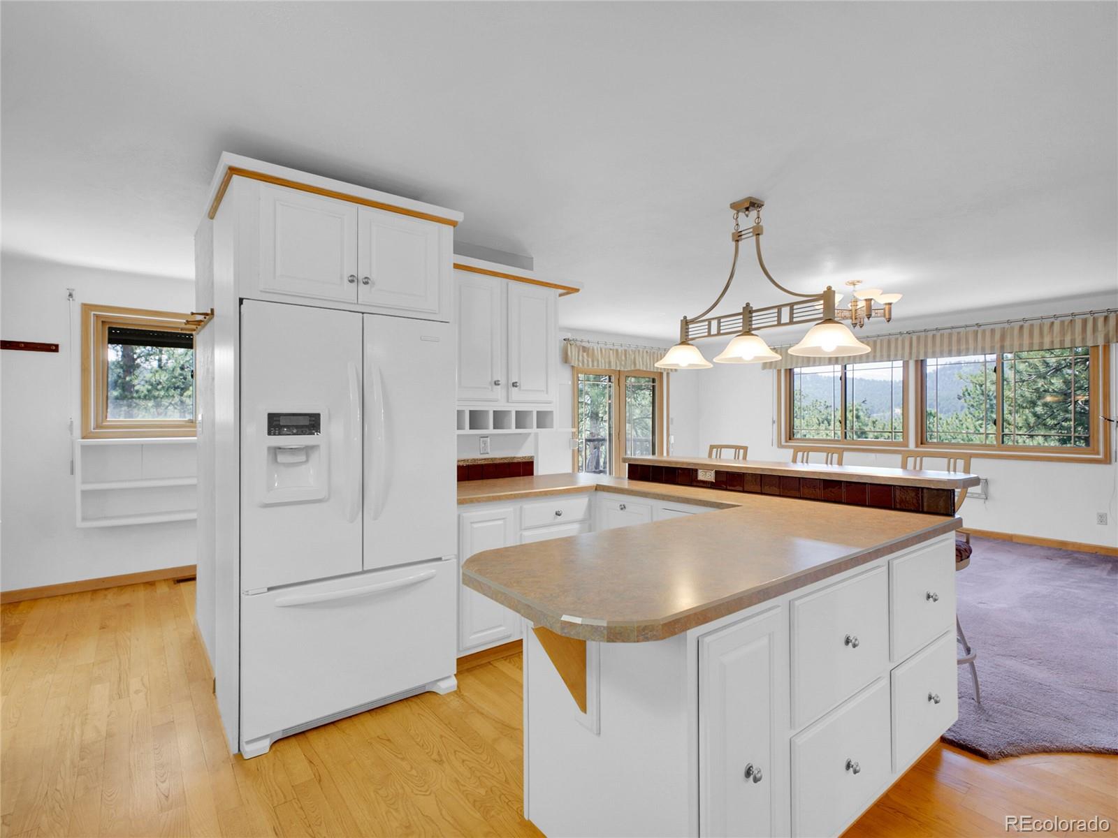 MLS Image #13 for 5336  high road,evergreen, Colorado