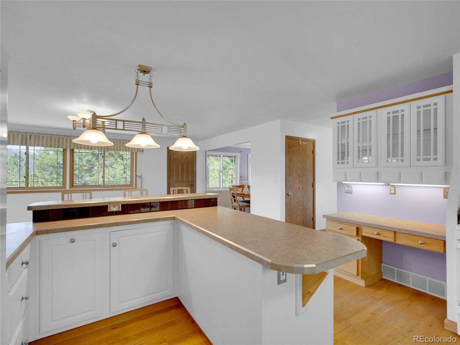 MLS Image #15 for 5336  high road,evergreen, Colorado