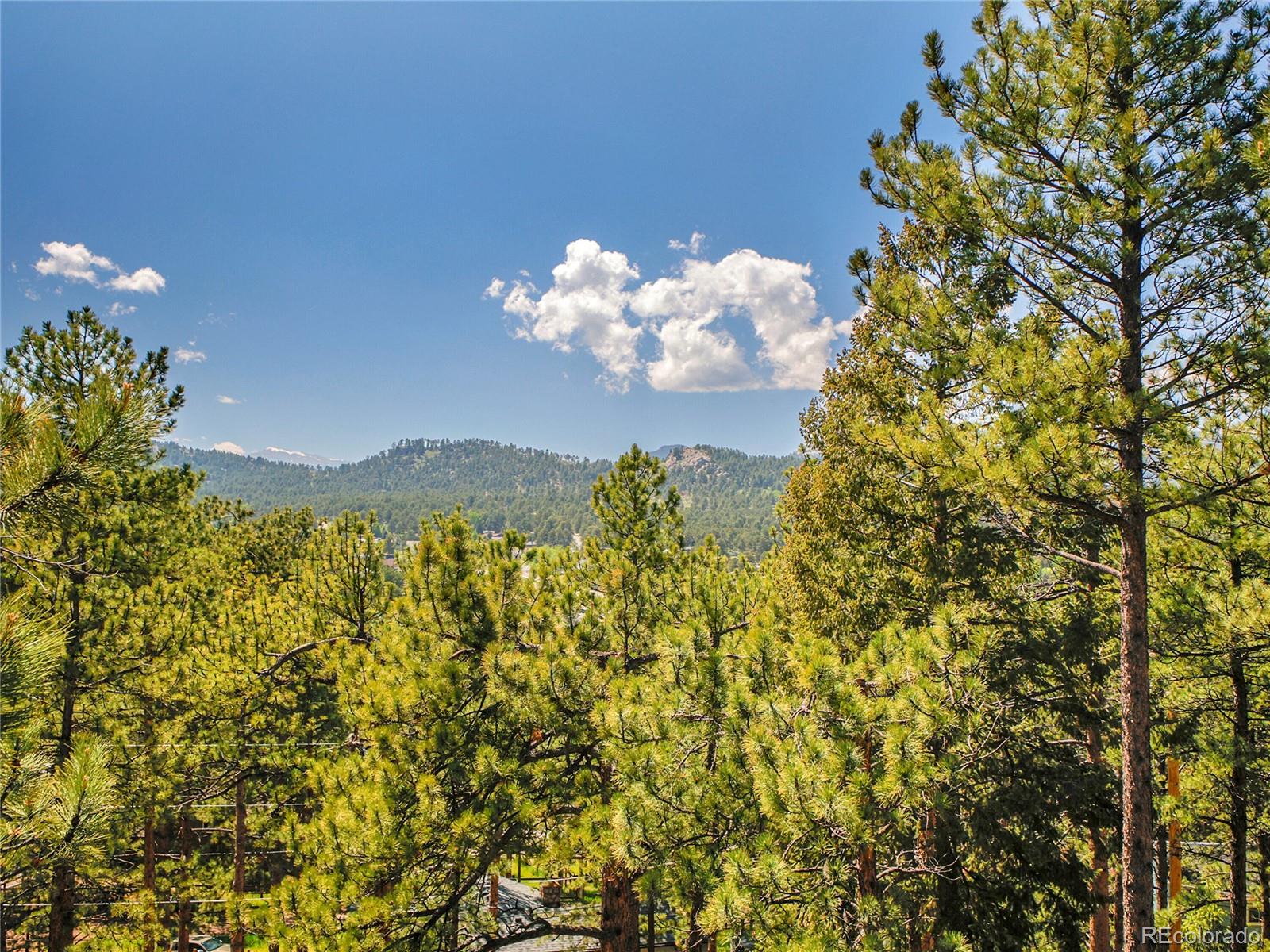 MLS Image #33 for 5336  high road,evergreen, Colorado