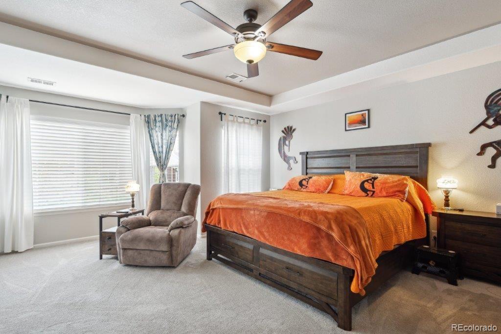 MLS Image #16 for 2810  shadow dance drive,castle rock, Colorado