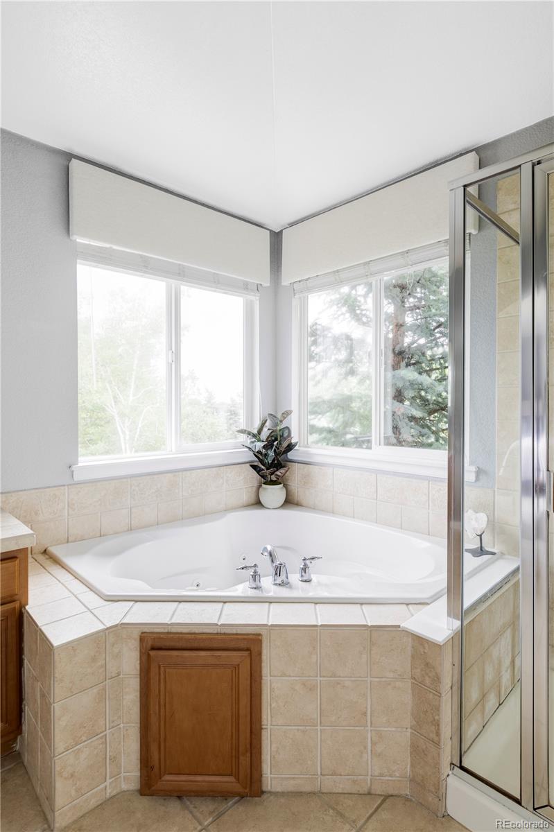 MLS Image #19 for 7700  bison court,littleton, Colorado