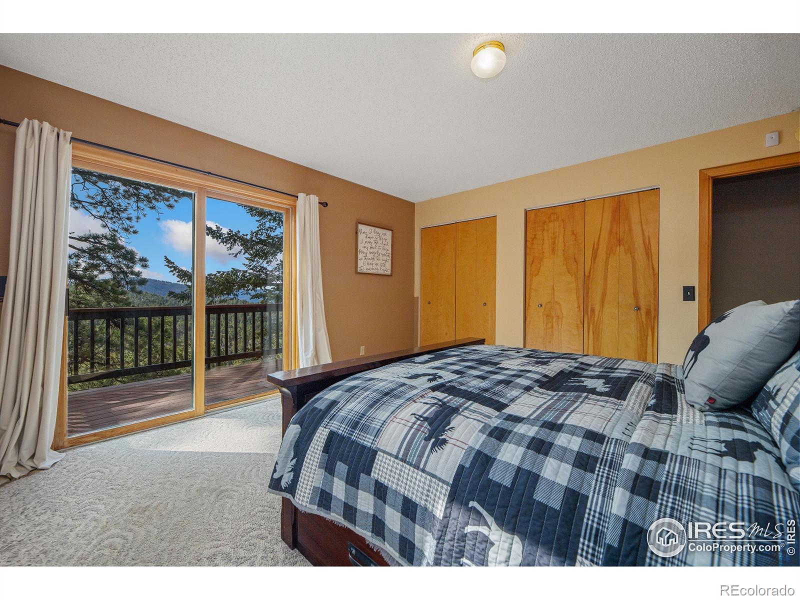 MLS Image #17 for 578  alpine drive,estes park, Colorado