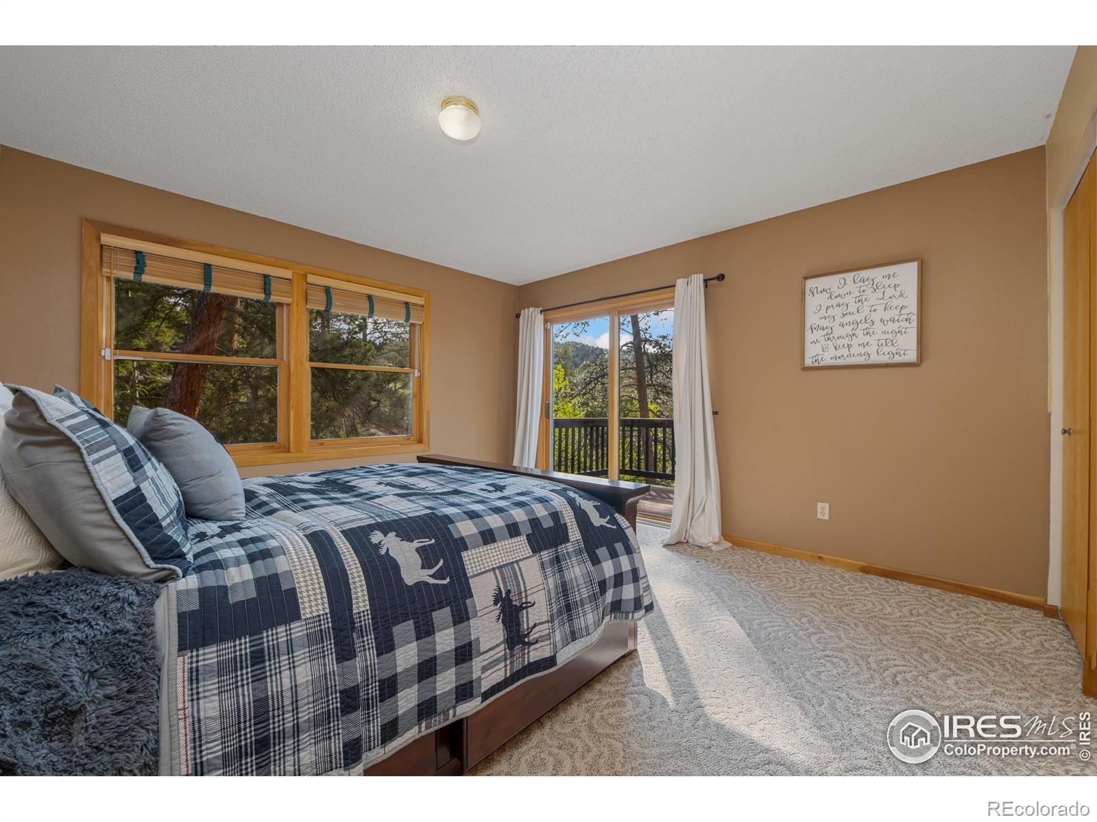 MLS Image #18 for 578  alpine drive,estes park, Colorado