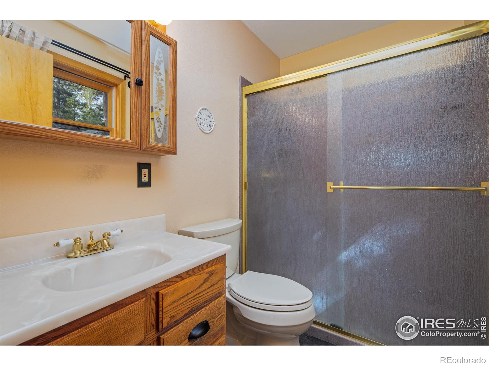 MLS Image #19 for 578  alpine drive,estes park, Colorado