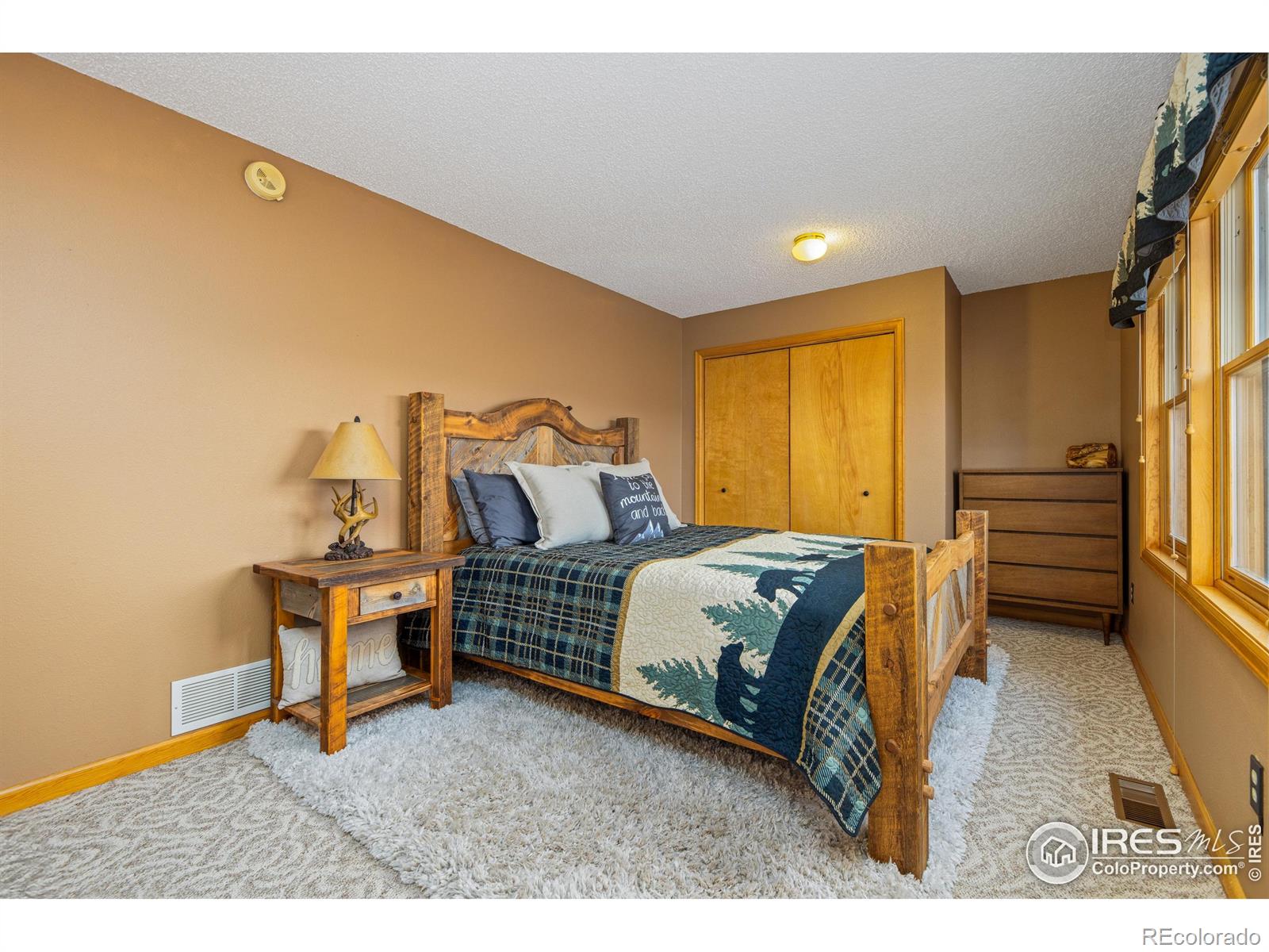 MLS Image #21 for 578  alpine drive,estes park, Colorado