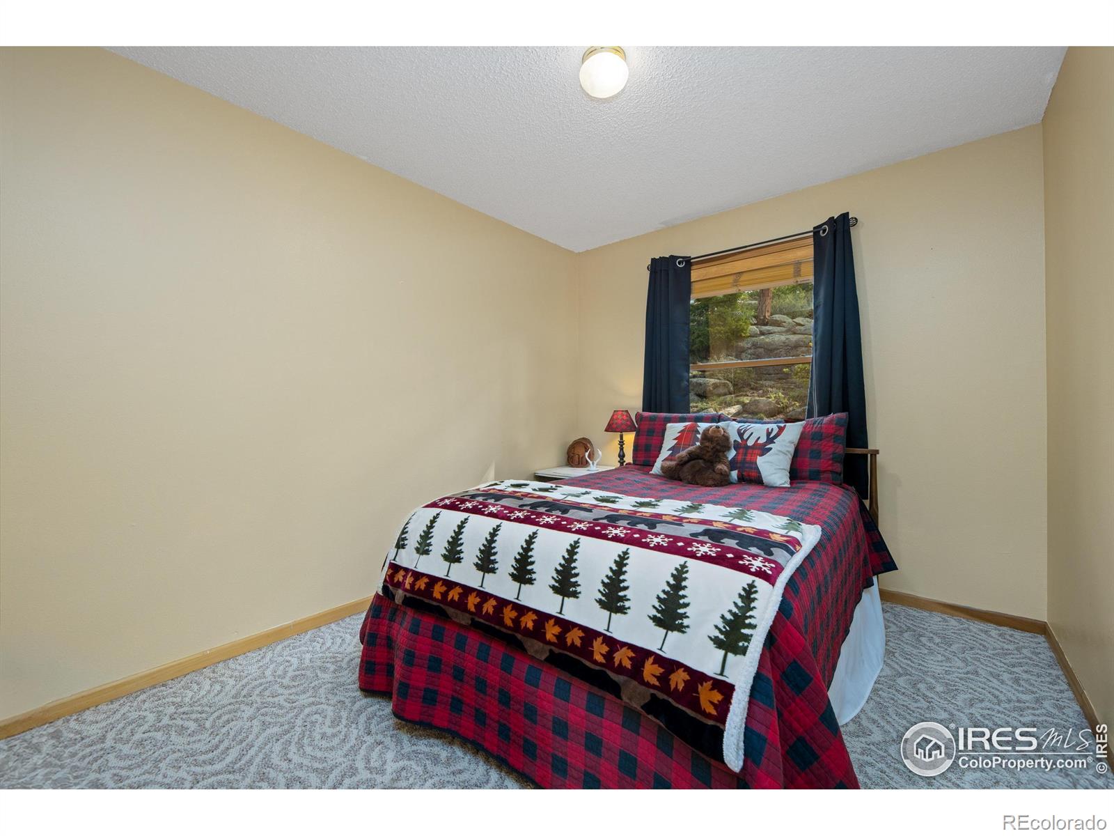 MLS Image #22 for 578  alpine drive,estes park, Colorado