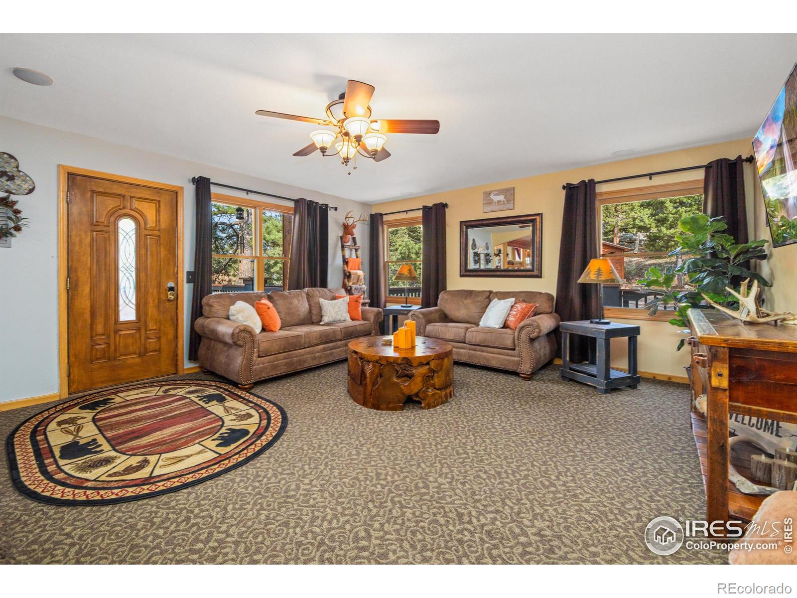 MLS Image #4 for 578  alpine drive,estes park, Colorado