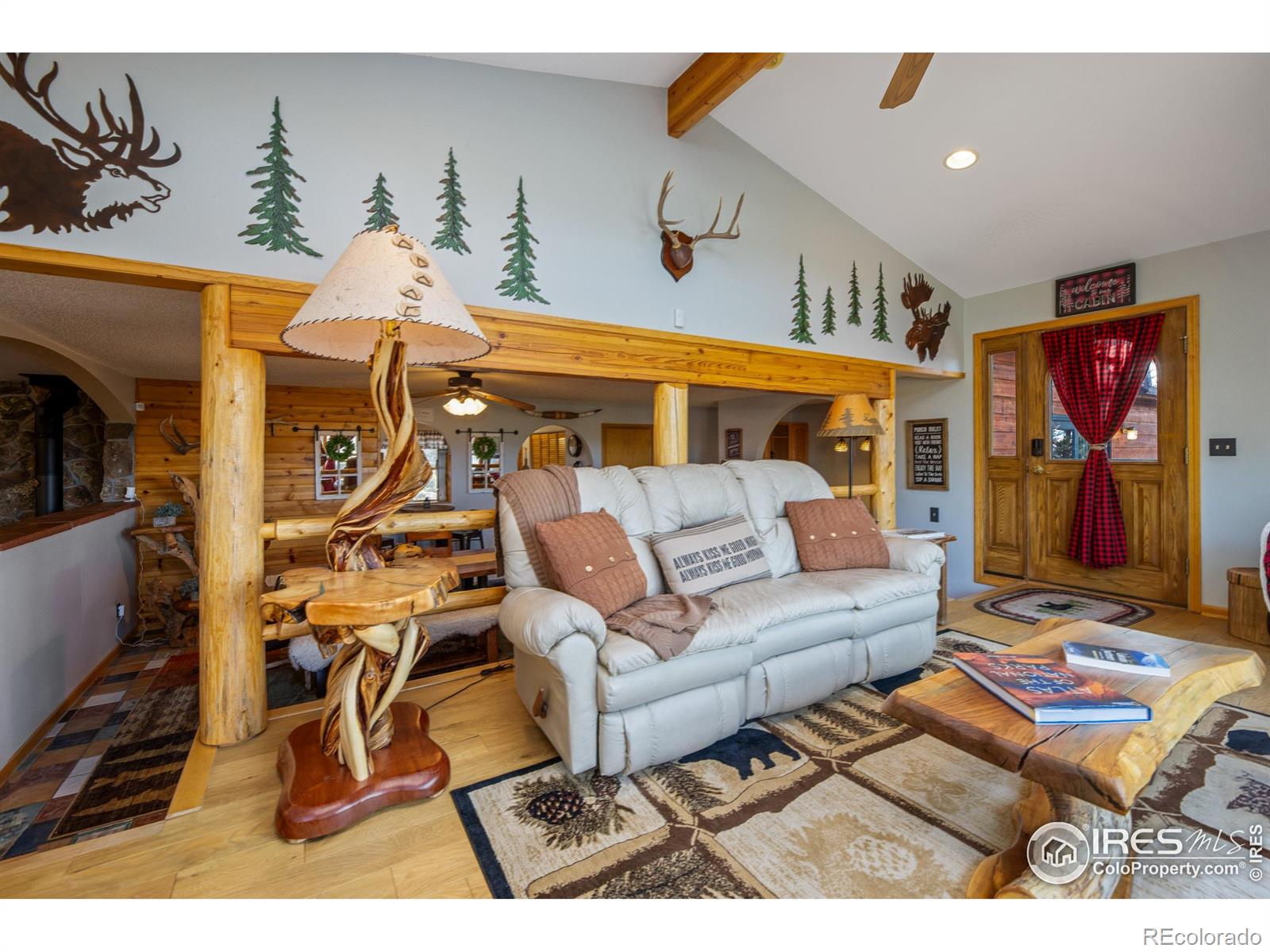 MLS Image #9 for 578  alpine drive,estes park, Colorado