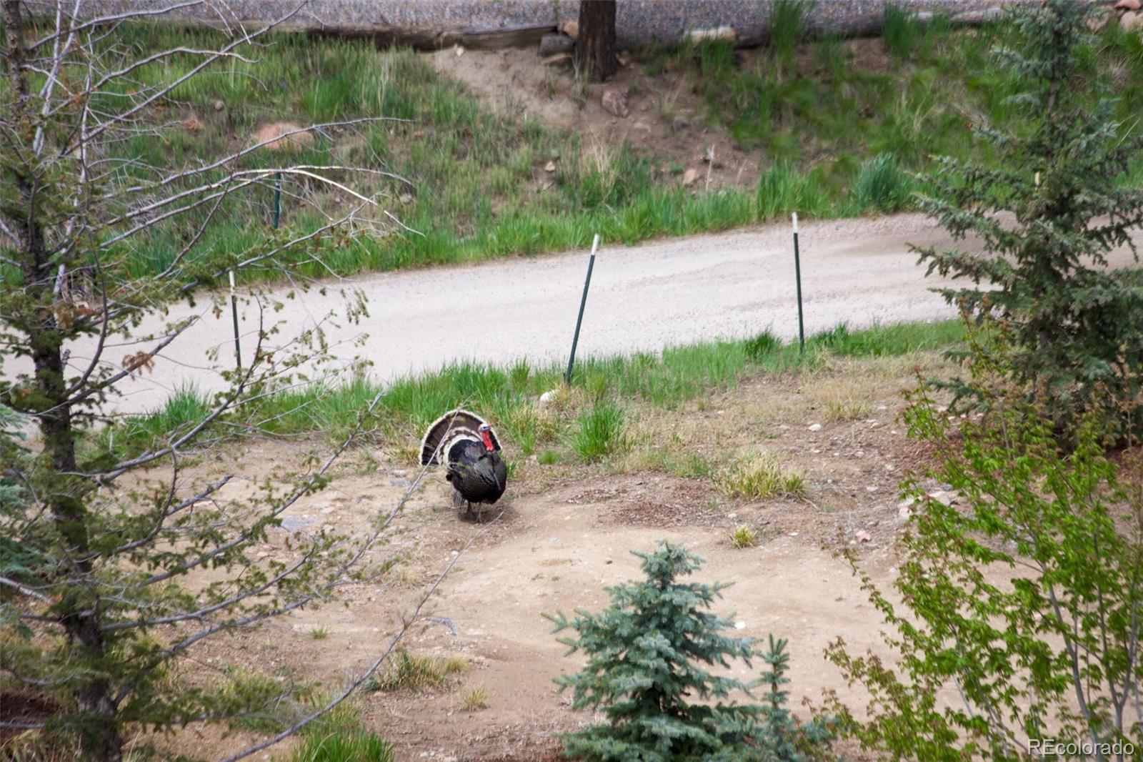 MLS Image #38 for 178  cree court,lyons, Colorado