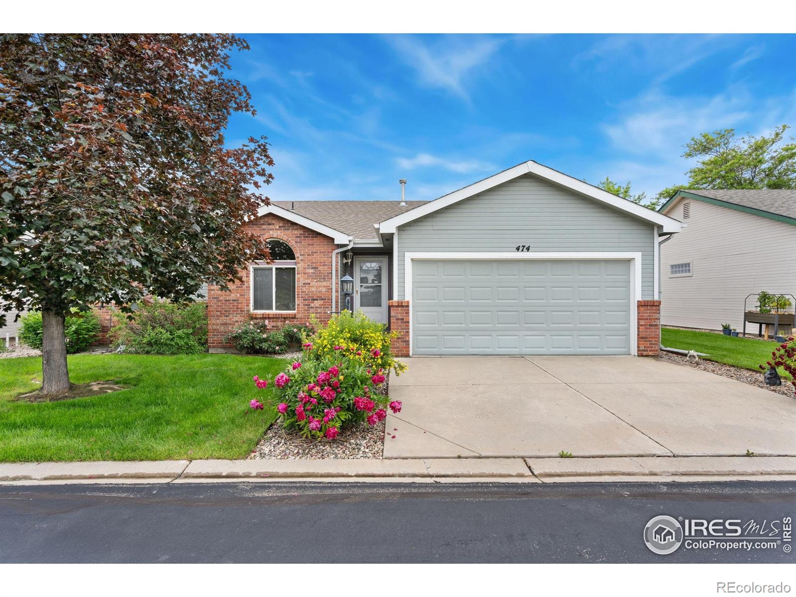MLS Image #2 for 474  radiant drive,loveland, Colorado