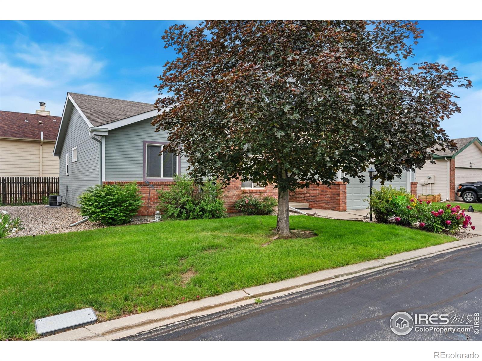 MLS Image #37 for 474  radiant drive,loveland, Colorado