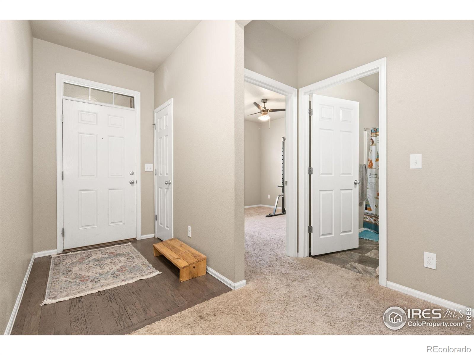 MLS Image #11 for 466  freestone street,brighton, Colorado