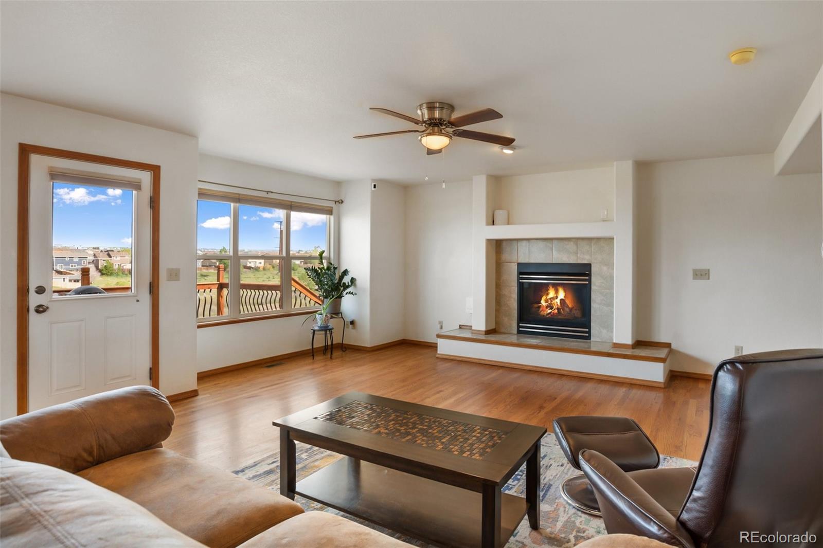 MLS Image #10 for 2068  killdeer court,colorado springs, Colorado