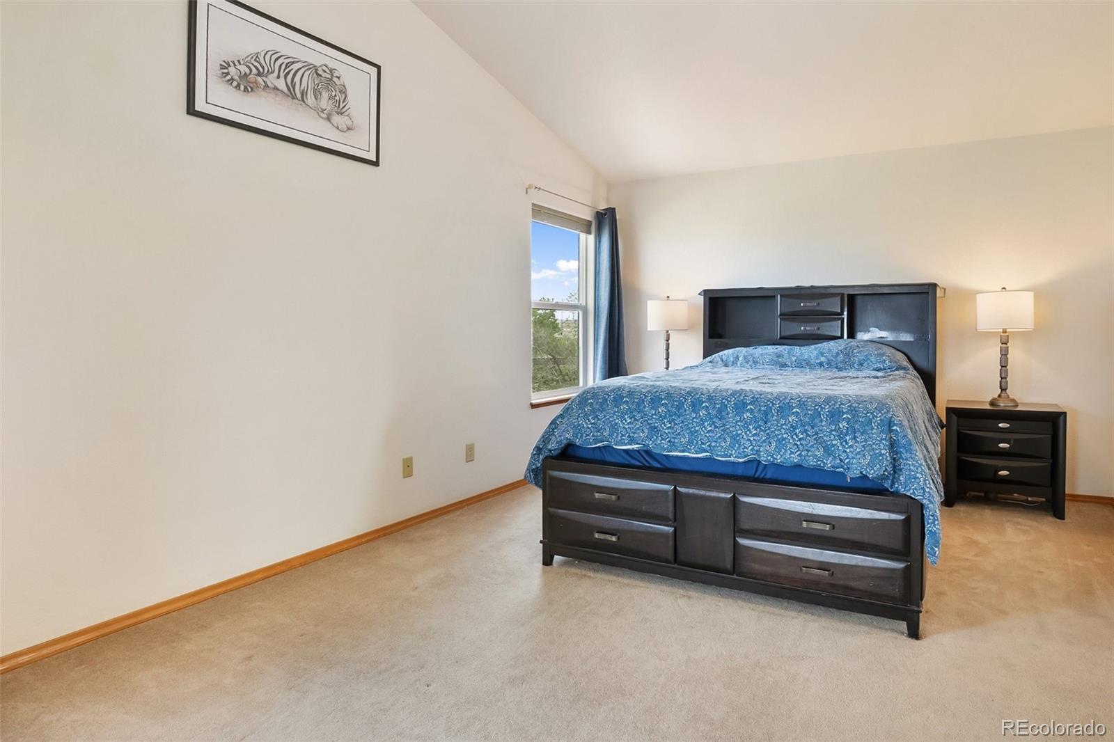 MLS Image #19 for 2068  killdeer court,colorado springs, Colorado