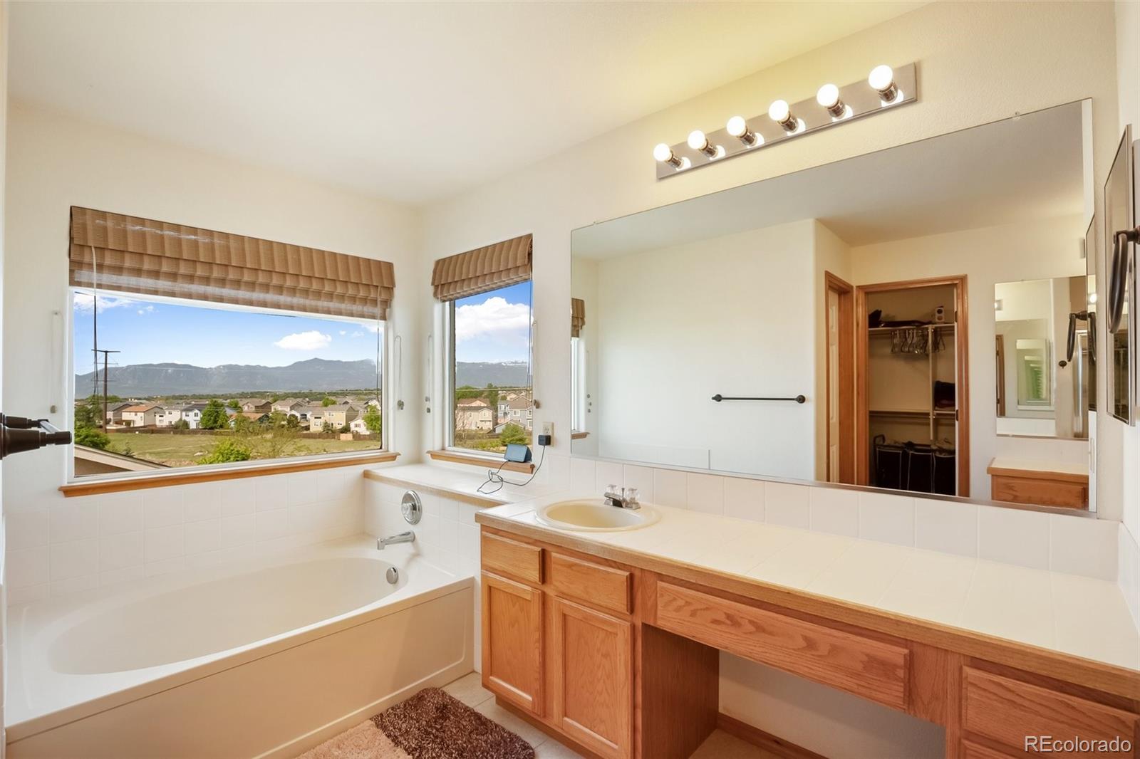 MLS Image #22 for 2068  killdeer court,colorado springs, Colorado