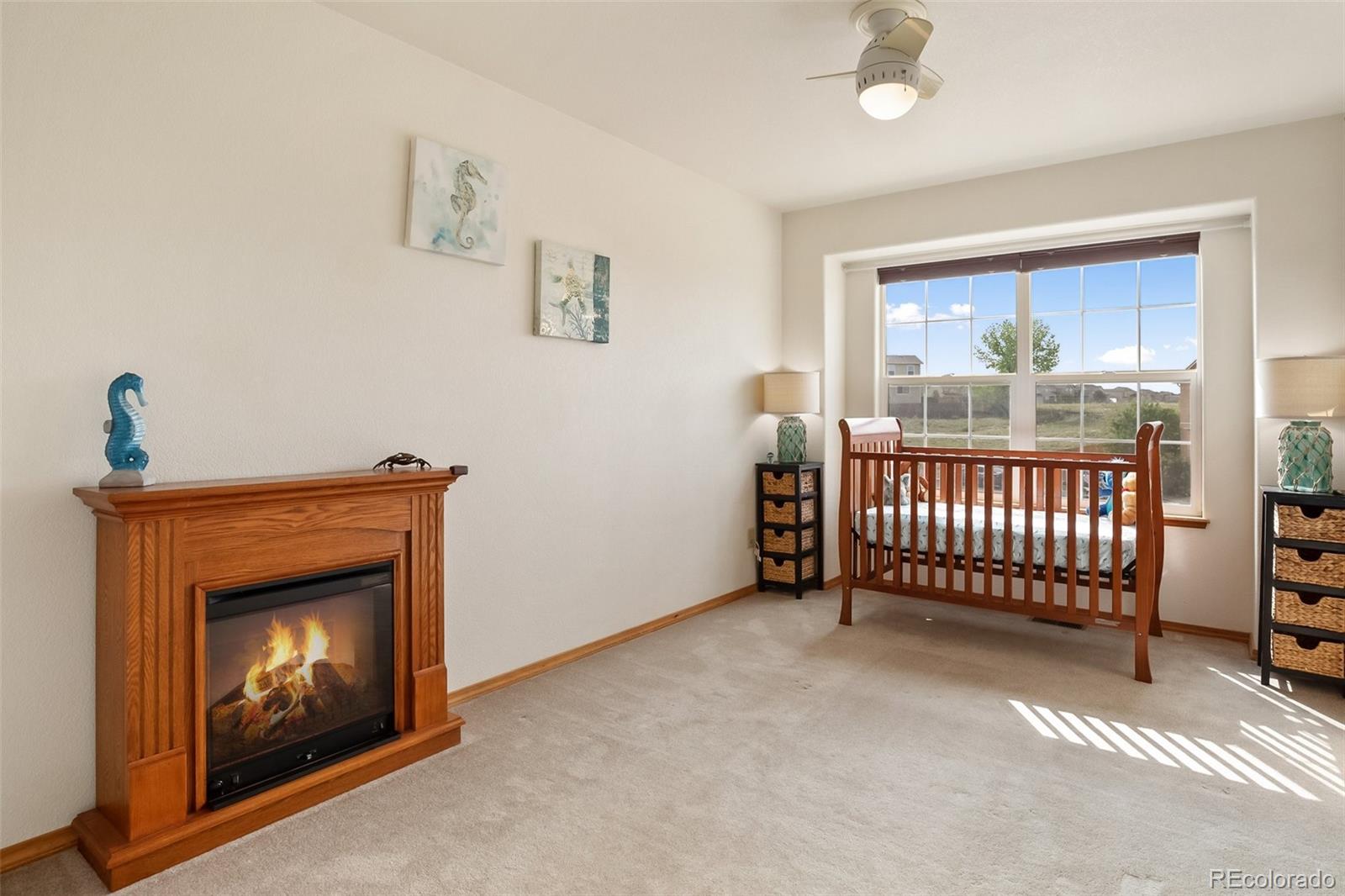 MLS Image #25 for 2068  killdeer court,colorado springs, Colorado