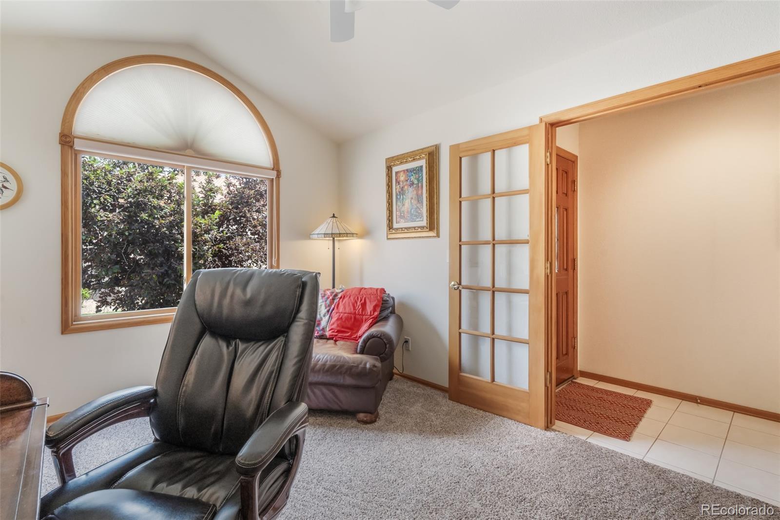 MLS Image #14 for 214  luxury lane,colorado springs, Colorado