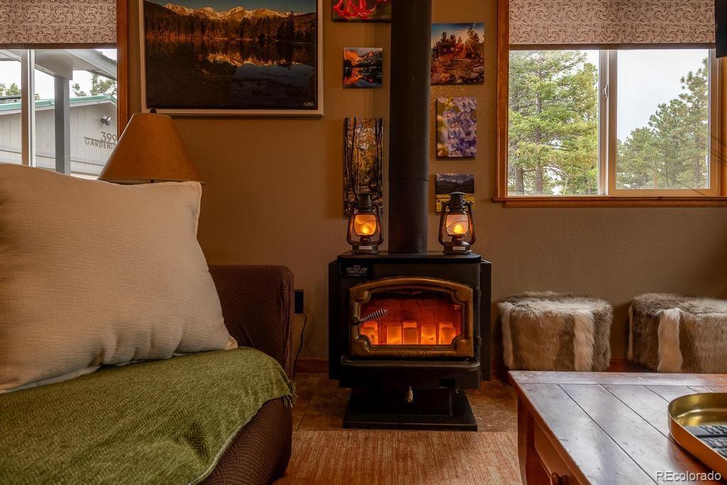 MLS Image #9 for 399  gardenia road,woodland park, Colorado