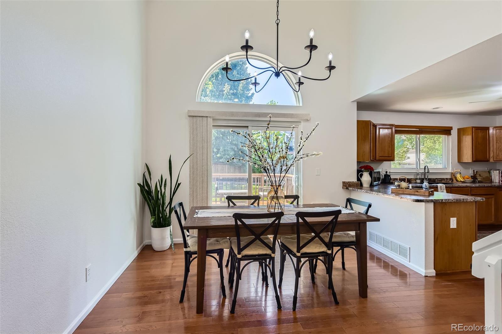 MLS Image #9 for 728  poppywood place,highlands ranch, Colorado