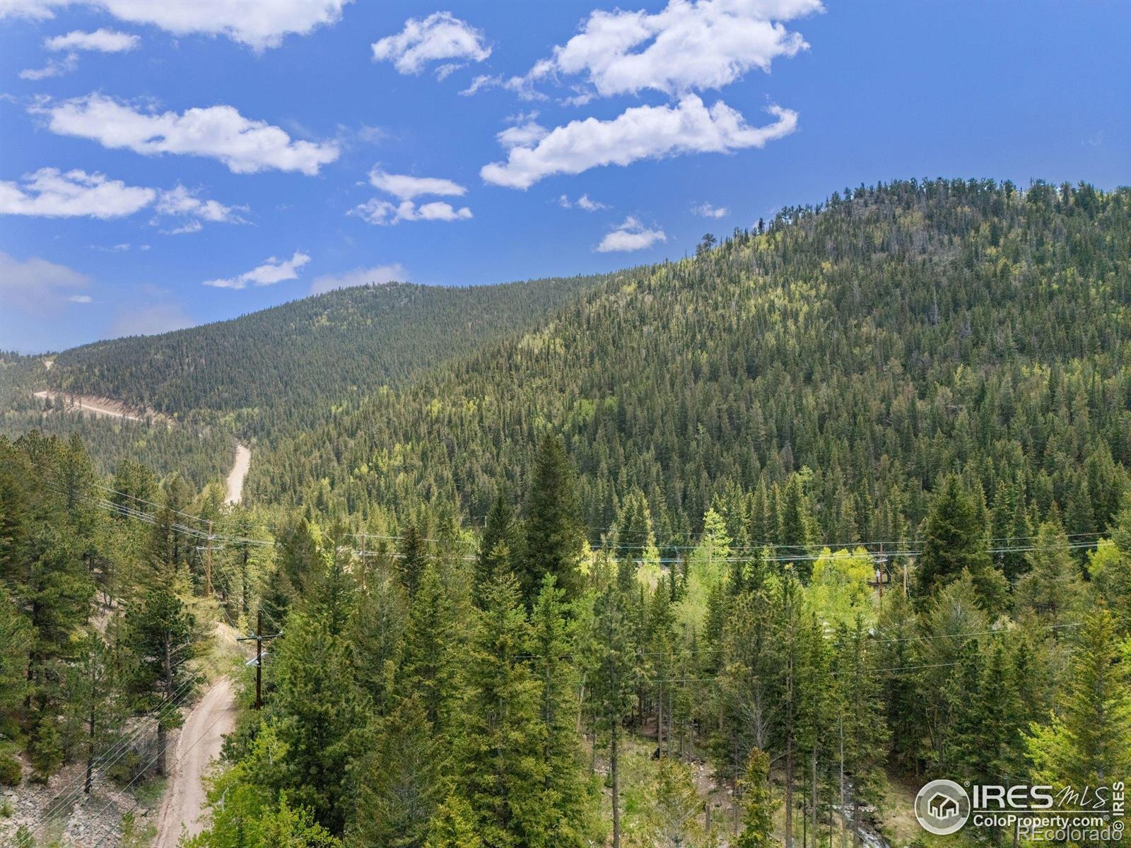 MLS Image #28 for 90  california gulch road,jamestown, Colorado