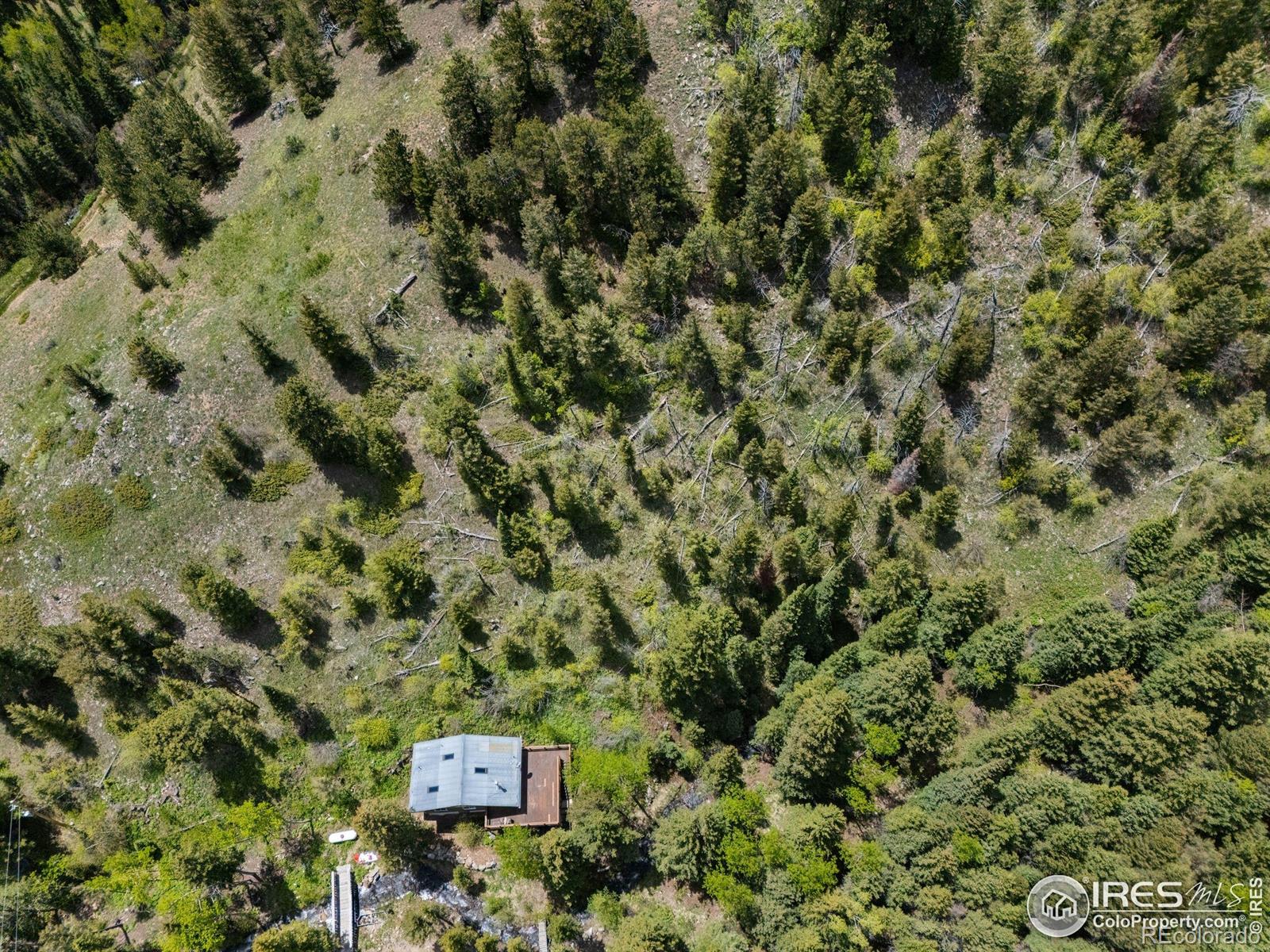 MLS Image #29 for 90  california gulch road,jamestown, Colorado
