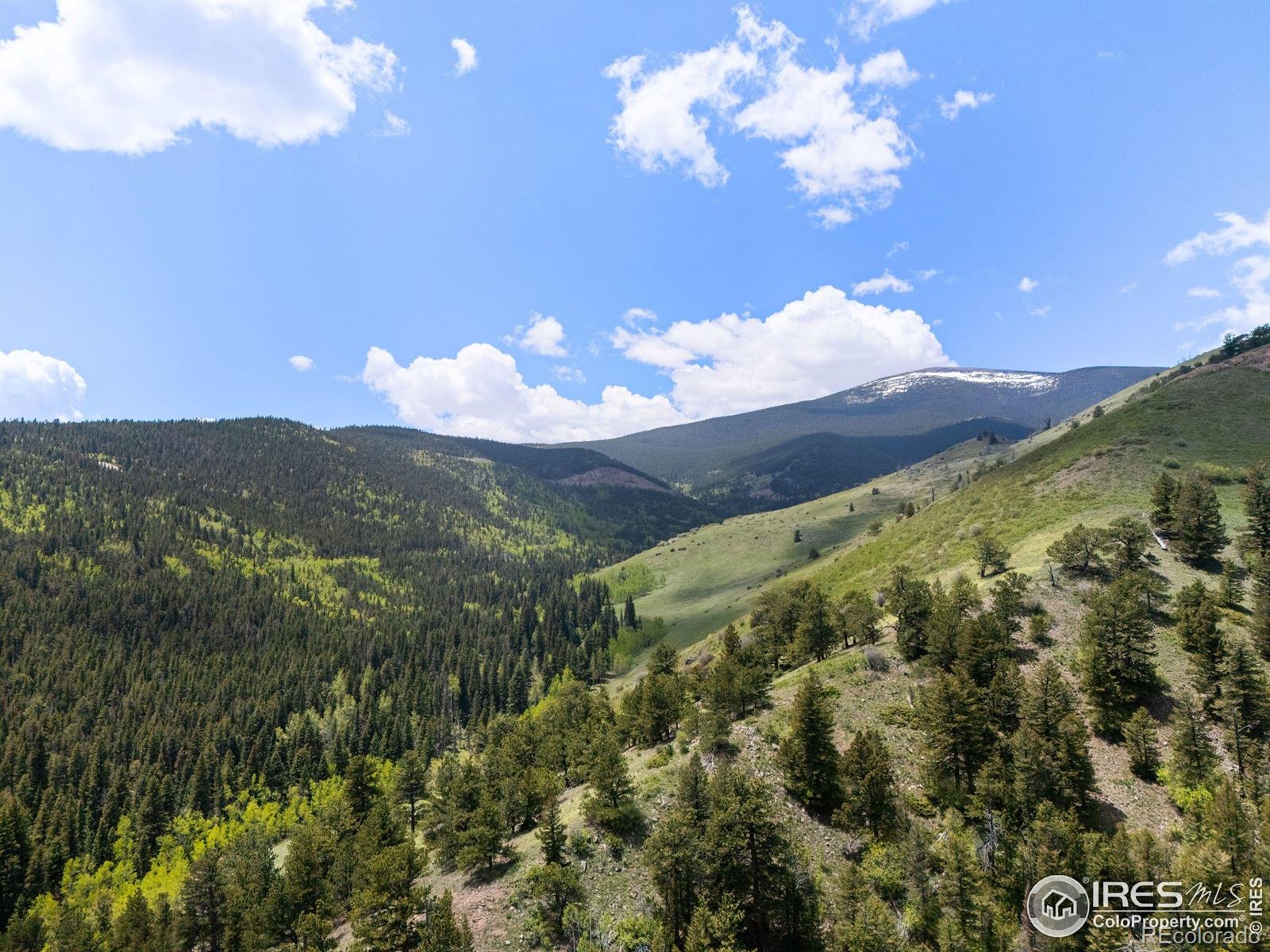 MLS Image #38 for 90  california gulch road,jamestown, Colorado