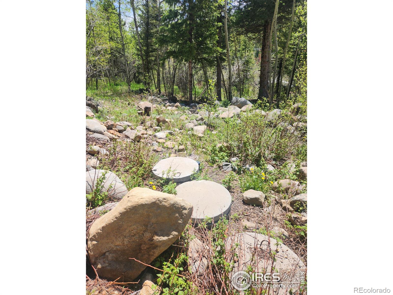 MLS Image #39 for 90  california gulch road,jamestown, Colorado